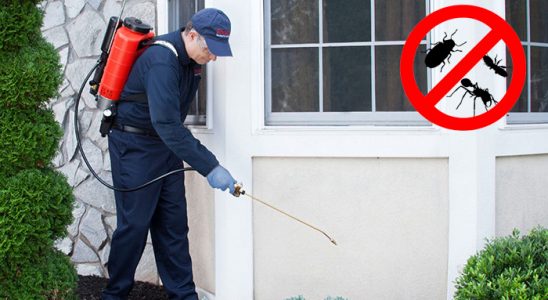 Esenler Akrep İlaçlama böcek ilaçlama ve haşere kontrolü — ilaclama-tr.com